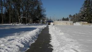 Интензивно се работи по почистването на алеите в парк Кайлъка