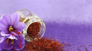 Ще измести ли найскъпата подправка шафранът златото на Родопите тютюна