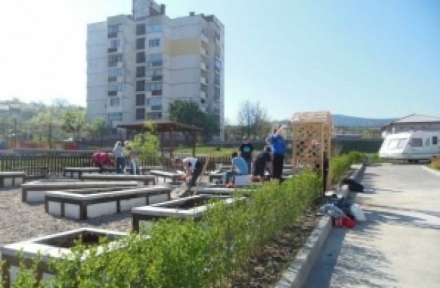 Фондация Сийдър търси психолог