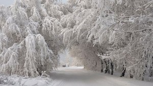 Поледици в община Севлиево затворен е пътят от село Богатово