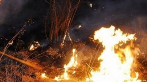 Пожар изпепели 20 овце в Търговишко