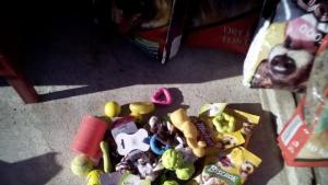 Приятели на животните помогнаха на приюта за бездомни кучета