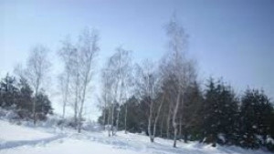 Без облаци в следобедните часове в Плевен до 5 градуса