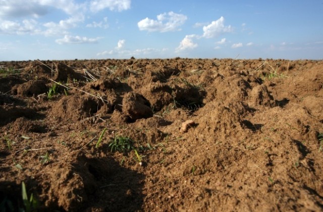 Земеделците ще могат да получат актуална информация и съвети в Козлодуй и Оряхово