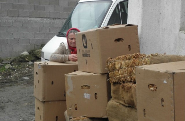 Тютюнопроизводители от Родопите се възпротивиха на ниските изкупни цени