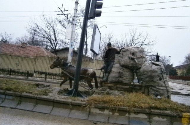 Спартански: Решен съм да се преборим с набезите от каруци в Плевен