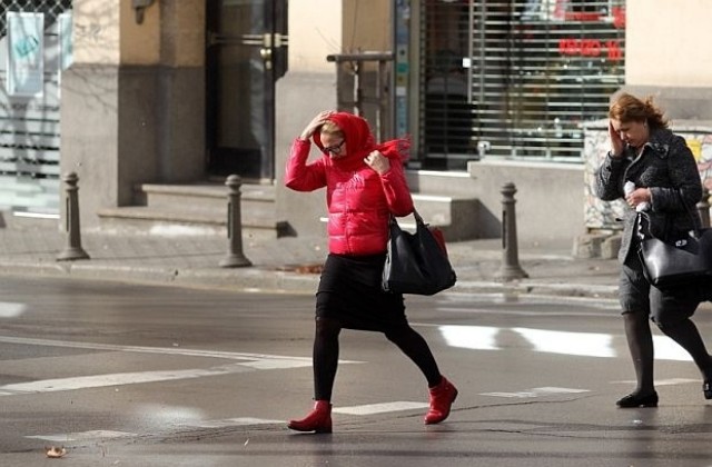 Предупреждават за силен вятър в Добричко и още 17 области