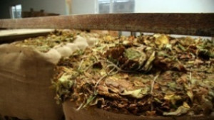 Намериха 150 килограма тютюн в автомобил