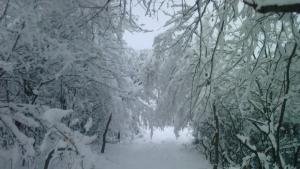 Сериозно застудяване и сняг се очакват в края на седмицата