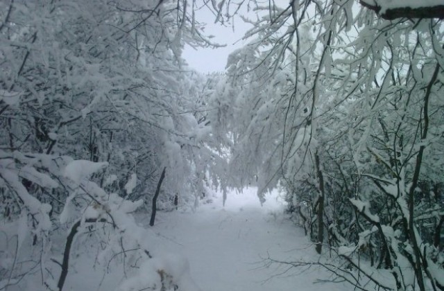 Сериозно застудяване и сняг се очакват в края на седмицата