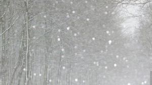 Обявиха оранжевият код за опасно време и във Велико Търново