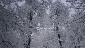 Оранжев и жълт код за опасно време в почти цялата