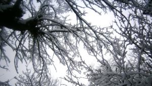 Очакват се силни снеговалежи и сериозна снежна покривка