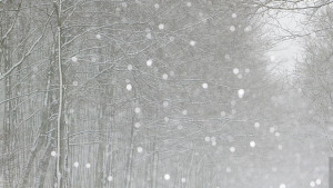 Оранжев и жълт код за опасно време в почти цялата