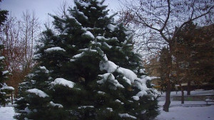 Валежите ще се усилят