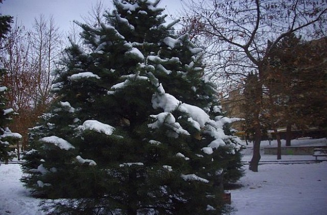 Валежите ще се усилят