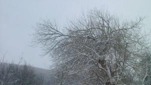 Бъдете внимателни и се информирайте подробно и често за метеорологичната