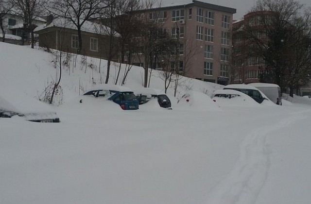 25 см сняг в Шумен, има опасност от падащи дървета и клони