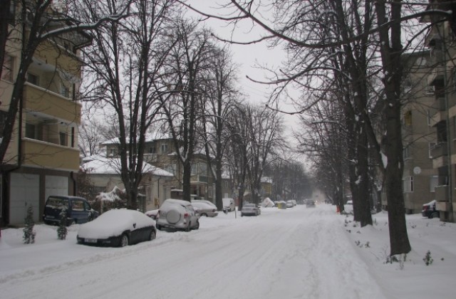 В Търговищко снегът е над 40 см, 35 села са без ток