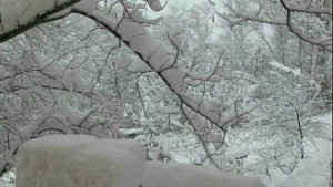 Обстановката в Русе и региона въвеждат плана за защита при