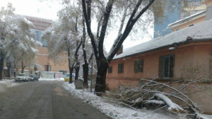 30 см е снежната покривка в Пловдив