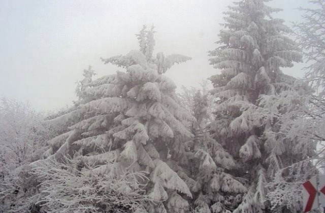 Снегът на Балканите блокира Западна Македония