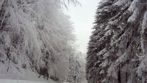 74 населени места в областта са без ток в Старозагорско