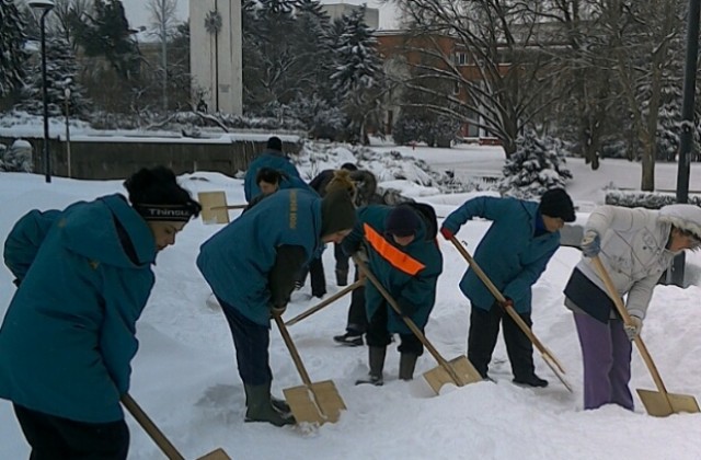 Пет снегорина и екипи на Паркстрой работят в центъра на Плевен
