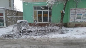 Множество сигнали за паднали дървета и други предмети върху пътища