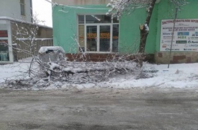 Множество сигнали за паднали дървета и други предмети върху пътища, сгради, жици и автомобили