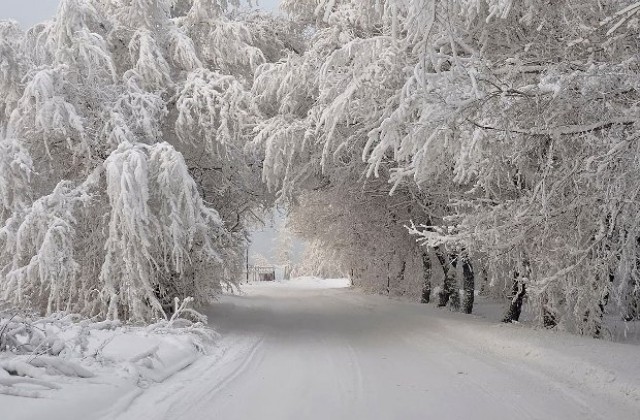 Спокойна зимна обстановка на територията на община Севлиево