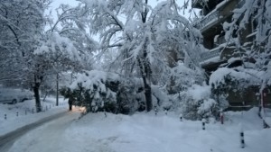 23 пътни произшествия през почивните дни