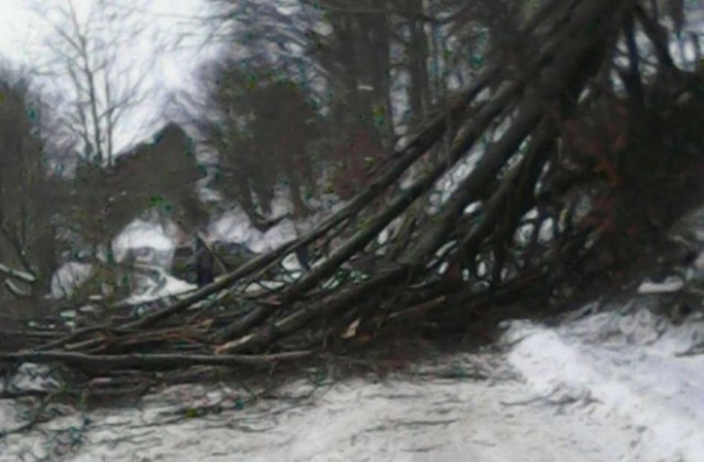 Пожар, затънали в снега автомобили и паднали дървета в областта през последните 24 часа
