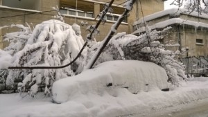 Пожарникарите отново измъкваха коли от преспите и отстраняваха дървета