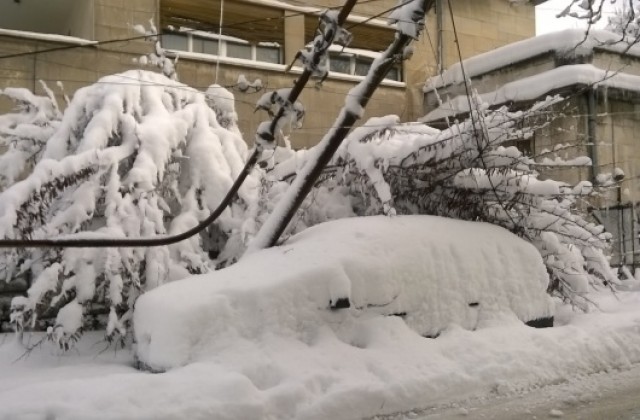 Пожарникарите отново измъкваха коли от преспите и отстраняваха дървета