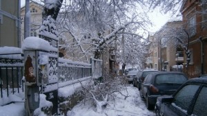 От Пожарната отстраняваха ледени висулки паднали дървета и клони