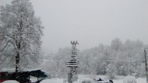 Жълт код за студ в половин България