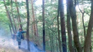 По малко нарушения през 2015 г отчитат от РДГ Кюстендил