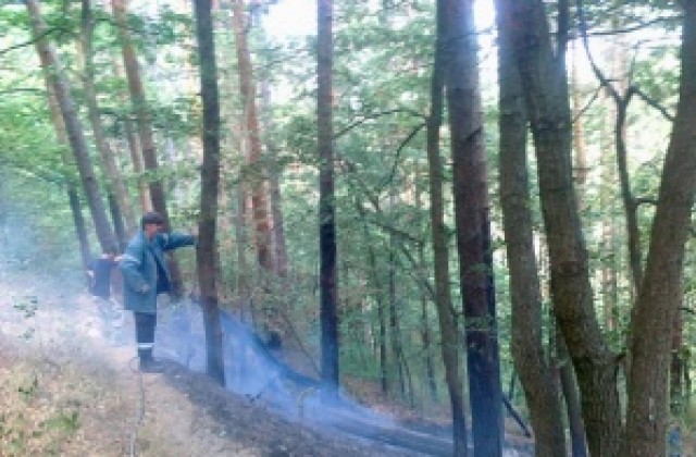 По- малко нарушения през 2015 г. отчитат от РДГ Кюстендил