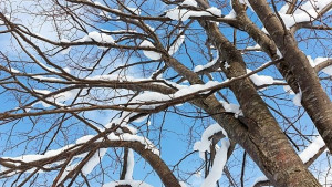 Времето на 21 януари Пак студ със слънце