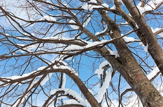 Времето на 21 януари: Пак студ със слънце