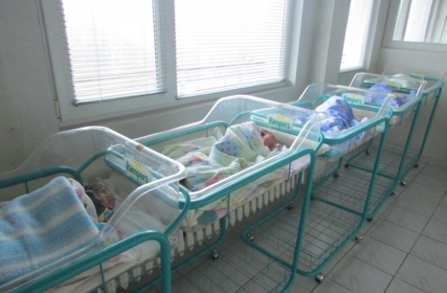 С разнообразна програма ще бъде отбелязан Денят на родилната помощ в Община Г. Оряховица