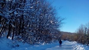 Пак студ със слънце