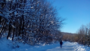 Пак студ със слънце