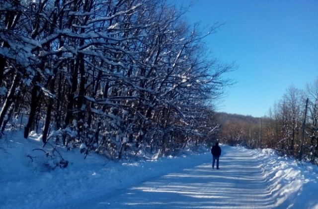 Пак студ със слънце