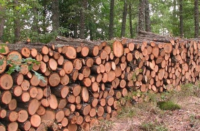Собственици на складове за дървесина масово слагат видеонаблюдение