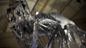 Учени откриха предшественика на Тиранозавър рекс