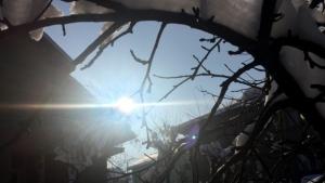 Времето на 22 януари Студовете продължават