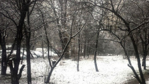 Времето на 23 януари Отново ниски температури