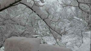 Въпреки очакваното затопляне предупреждават отново за студ в 17 области